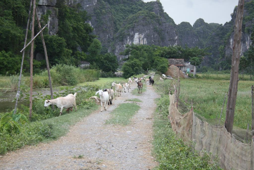 Ninh Binh Valley Homestay Luaran gambar